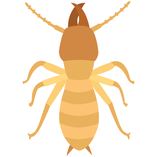 Icono de Taladros de Madera